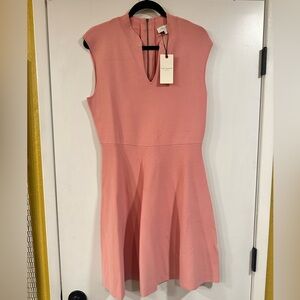 Ted Baker Pink Midi Dress